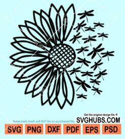 Sunflower with dragon flies svg