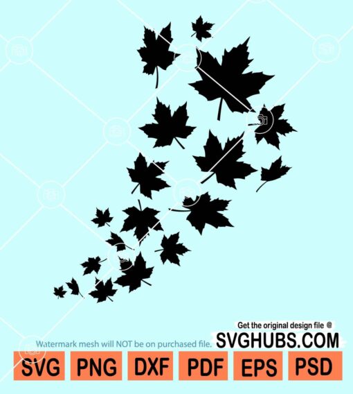 Swirl of falling maple leaves svg