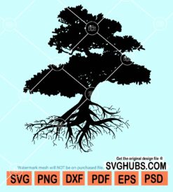 Tree of life svg
