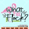 What the flock svg