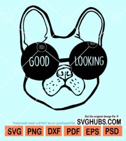 Bulldog head with good looking sunglasses svg