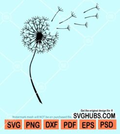 Dandelion flower svg