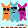 Easter bunnies with sunglasses svg