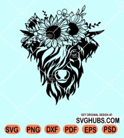 Highland cow with sunflower svg