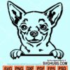 Peeking Chihuahua dog svg