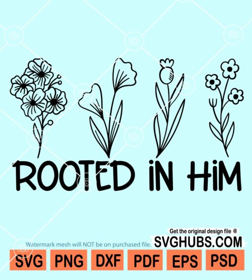 Rooted in him flowers svg