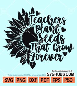 Teachers grow seeds that grow forever sunflower svg