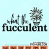 What the fucculent with potted plant svg