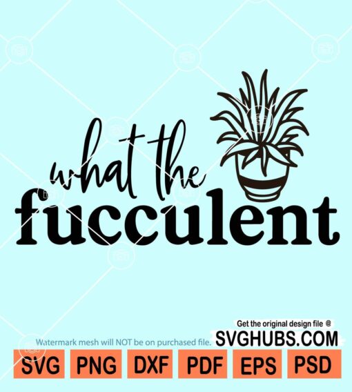 What the fucculent with potted plant svg