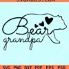 Bear grandpa svg