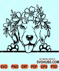 Floral peeking Labrador clipart svg