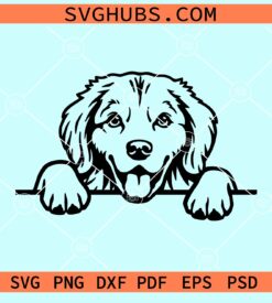Peeking golden retriever svg