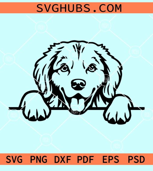 Peeking golden retriever svg