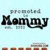 Promoted to mommy est. 2022 svg