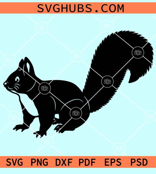 Squirrel silhouette svg