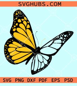 Butterfly clipart svg