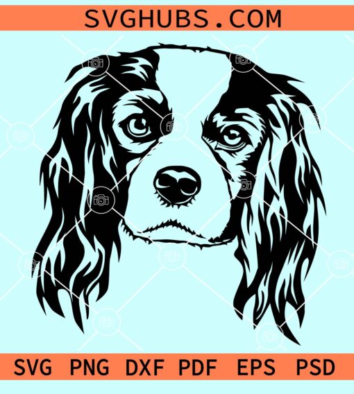 Cavalier King Charles Spaniel dog svg