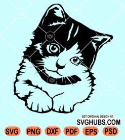 Cute peeking cat svg