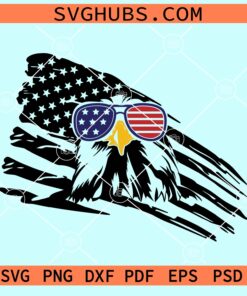 Eagle through flag with patriotic sunglasses svg