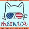 Meowica svg