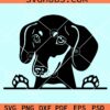 Peeking Dachshund svg