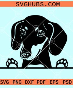 Peeking Dachshund svg