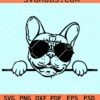 Peeking French bulldog with sunglasses svg