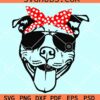 Pit bull with bandana SVG