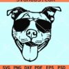 Pitbull with sunglasses SVG