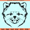 Pomeranian svg