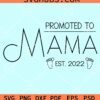 Promoted to mama Est 2022 svg
