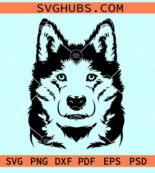 Siberian husky Clip Art svg