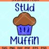 Stud muffin cupcake svg