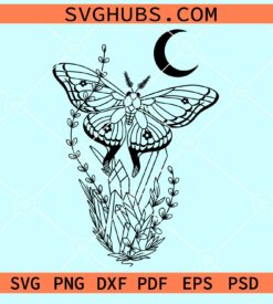 Floral crystal butterfly with moon svg