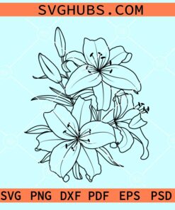 Lily flowers svg