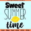 Sweet summer time peach fruit svg