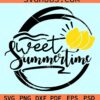 Sweet summertime peach fruits svg