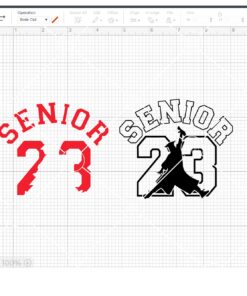 Air Class of 2023 layered SVG