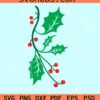 Mistletoe branch svg, holly leaves svg, Christmas mistletoe svg