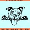 Peeking Pitbull SVG, Pitbull dog breed svg, dog breed SVG, Pitbull SVG