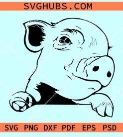 Peeking baby pig SVG, Peeking pig SVG, Pig Peekaboo SVG, Pig face svg