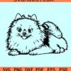 Pomeranian dog SVG, Pomeranian vector, Pomeranian dog breed svg