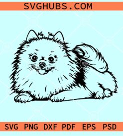 Pomeranian dog SVG, Pomeranian vector, Pomeranian dog breed svg