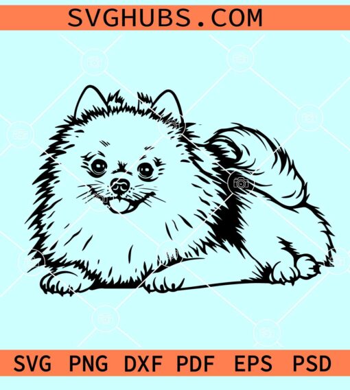 Pomeranian dog SVG, Pomeranian vector, Pomeranian dog breed svg