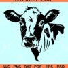 Cow Face SVG, Cow Face PNG, animal face SVG, highland cow SVG