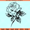 Single Rose SVG, Rose flower svg, Rose svg, Flower svg