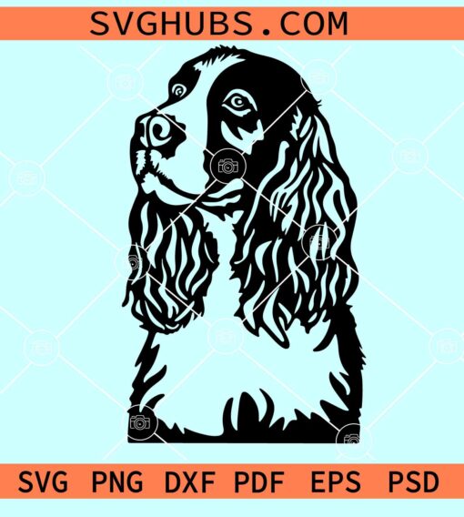 English Springer Spaniel SVG, dog breed SVG, Pet face SVG