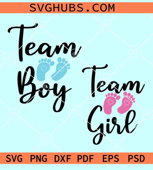 Team girl team boy SVG, gender revel SVG, baby shower SVG