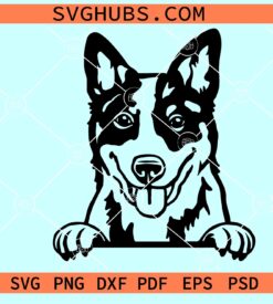 Blue heeler peeking svg, Blue heeler SVG, Blue heeler SVG file, Blue heeler dog Svg