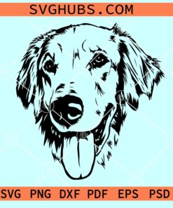 Golden retriever dog face SVG, Golden retriever SVG, dog face SVG